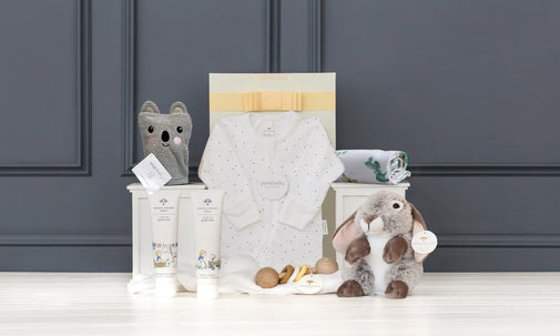Adairs Baby Bathtime & Snuggles Hamper