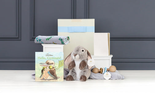 Baby Boy Cuddles & Storybook Hamper- Hello Gumnuts!