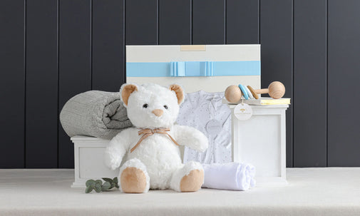 Sheridan Baby Boy Snuggles Hamper