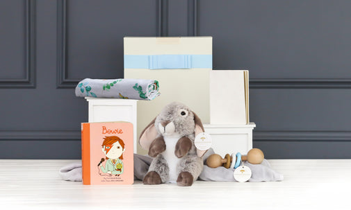 Sweet Bundle Baby Boy Hamper: David Bowie