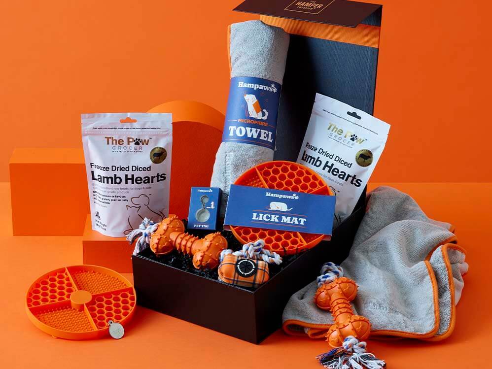 Tail Waggers Hamper With Personalised Lead