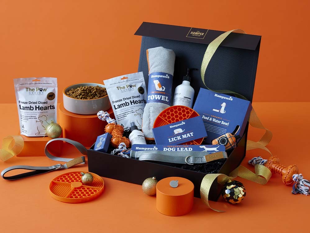 The Complete Pooch Care Hamper With Nektar, Personalised Lead, & Tag