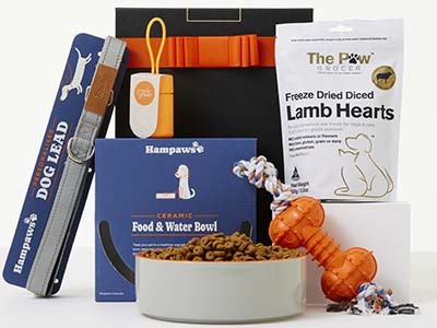 Treat your Pet with frank green Hamper