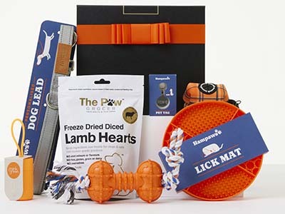 Active Pet with frank green Hamper