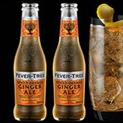 Fevertree Spiced Orange Ginger Ale 200ml x2 