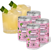 Curatif Margarita Cans