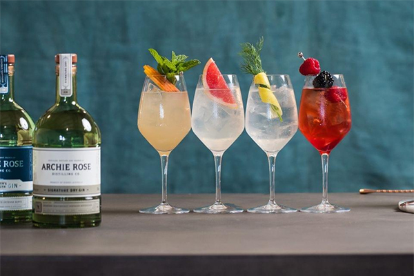 The Best Gin Mixers And Cocktail Party Ideas 