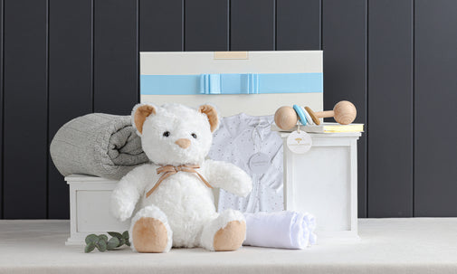 Sheridan Baby Boy Snuggles Hamper